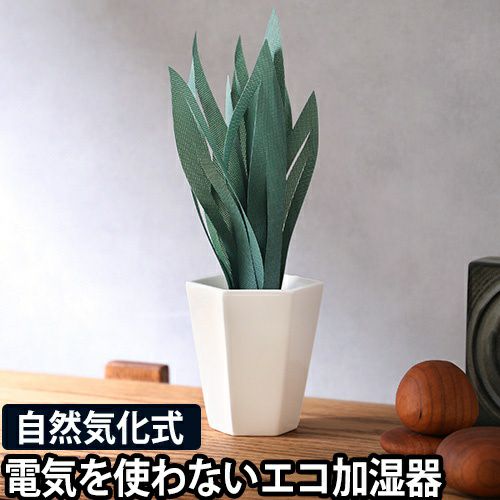 ミクニ エコ 加湿器 ミスティプランツ サンスベリア ペーパー加湿器