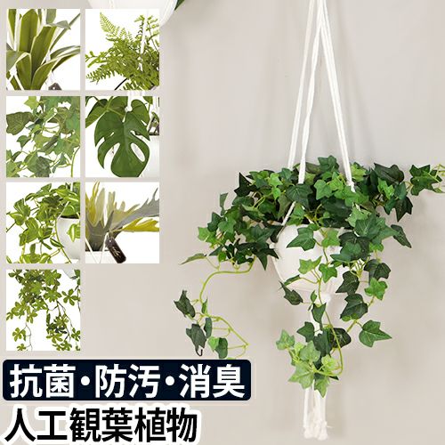人工観葉植物 エクリア 消臭アーティフィシャルグリーン 光触媒