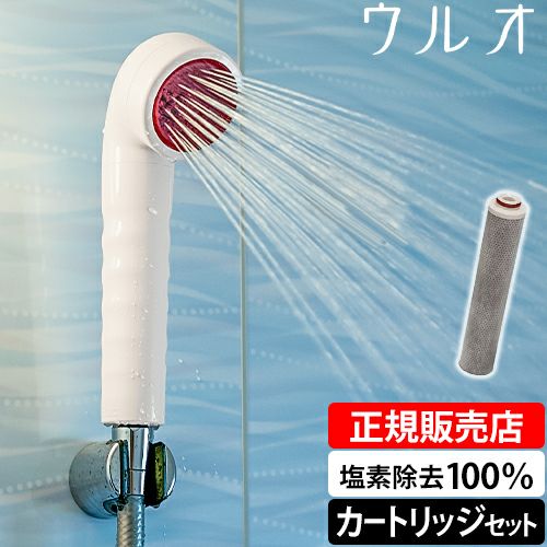 シャワーヘッド 正規品 炭酸タブレット 浄水シャワー 炭酸プラス 節水