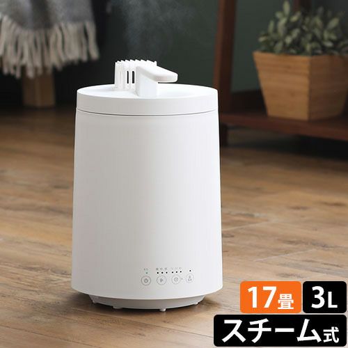 ドウシシャ スチーム式加湿器 ミストーン600S KSZ-603 スチーム加湿器