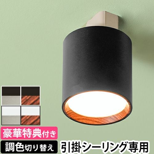 シーリングライト hldz08424sg.jpg